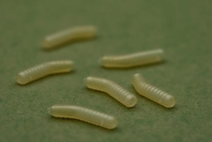 One More Cast Dazzlers Magoliner Inturn