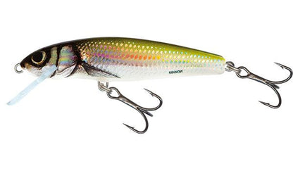 Salmo Minnow Floating Holo Bleak 5cm 