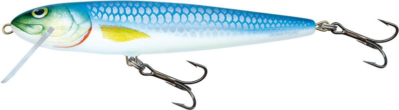 Salmo White Fish Limited Edition