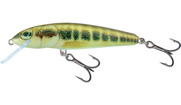 Salmo Minnow Floating Minnow 5cm
