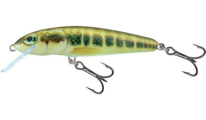 Salmo Minnow Floating Minnow 5cm
