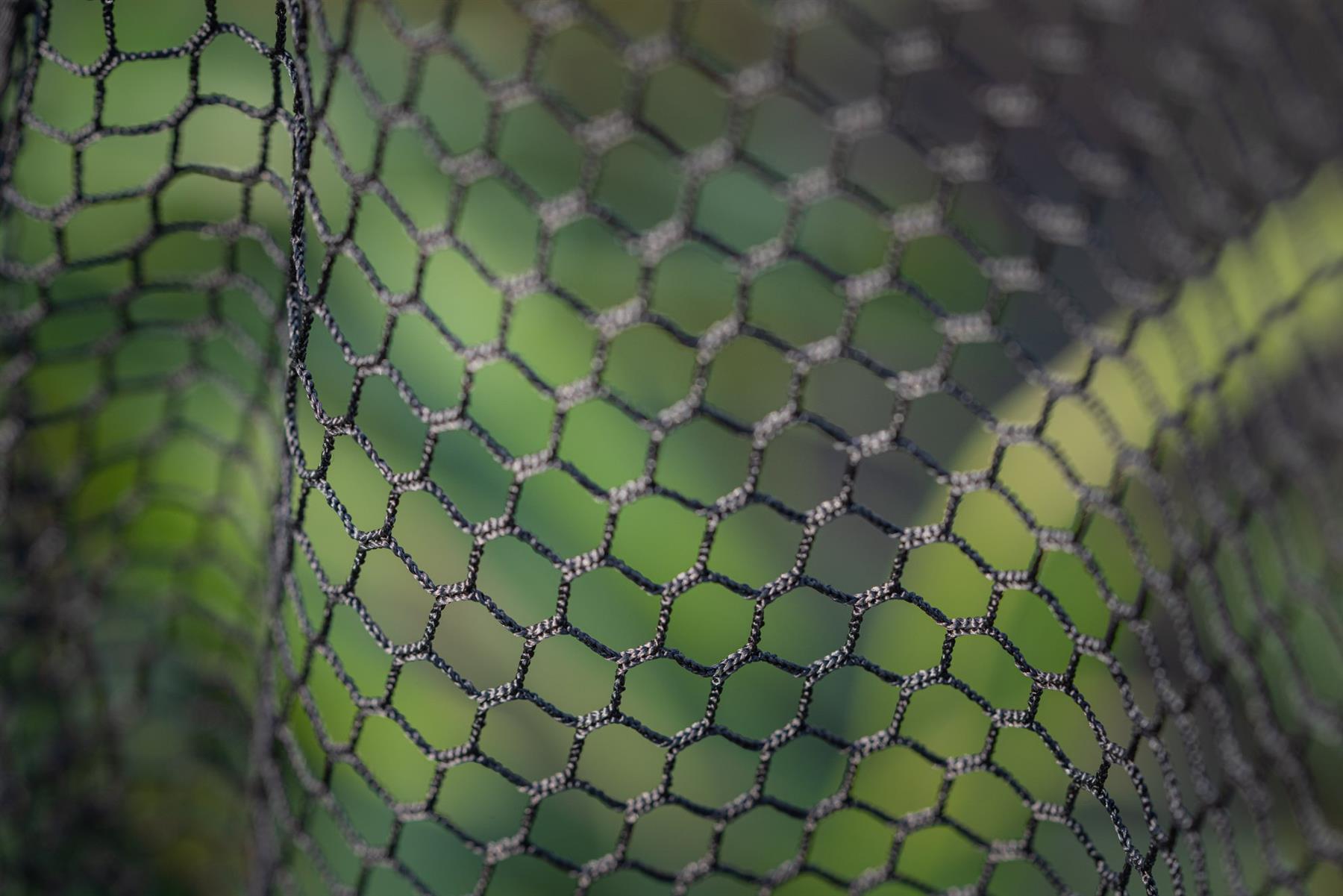 Guru Duel 600 Specimen Net