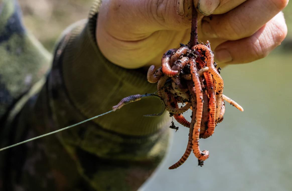 One More Cast Tweakers Wormurai