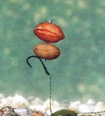 Enterprise Pop Up Peanut 