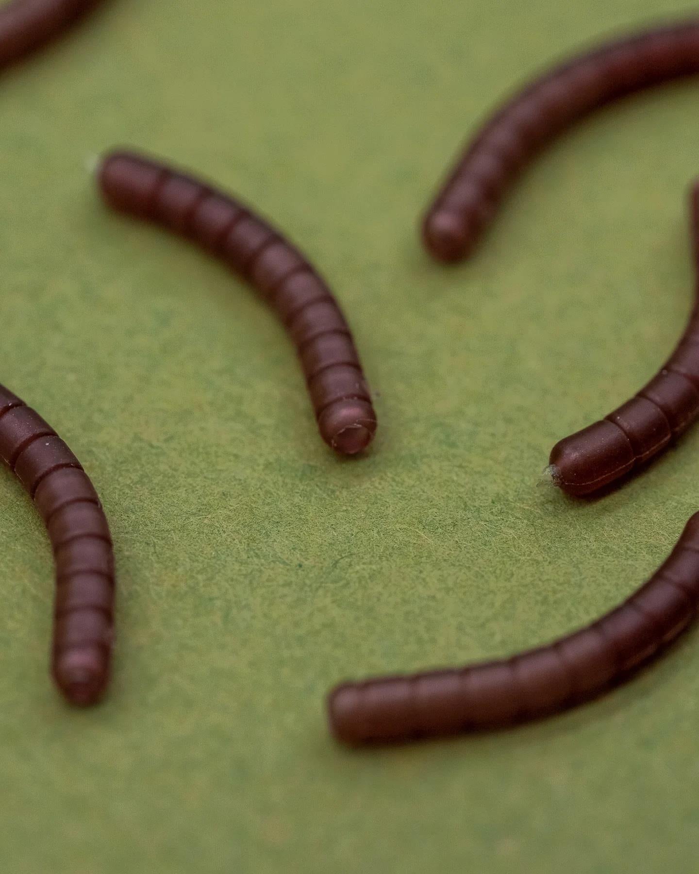 One More Cast Dazzlers Wormaliner Curve