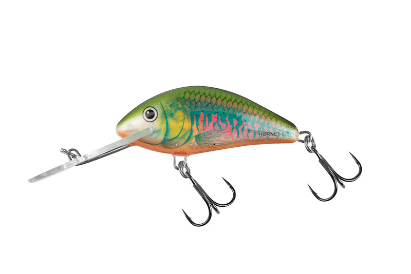 Salmo Hornet Floating Crankbait 6cm