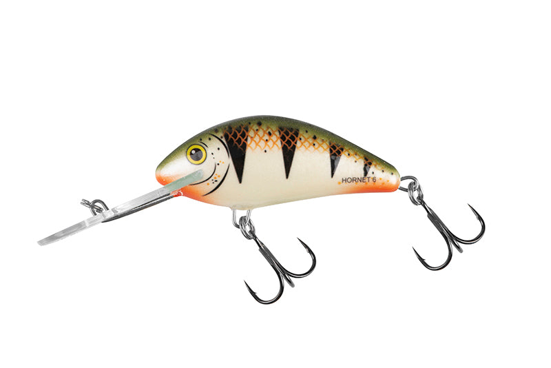 Salmo Hornet Floating Crankbait 6cm